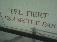 /album/galleria-fotografica/motto-jpg/