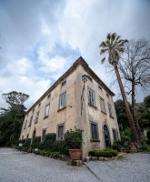 /album/galleria-fotografica/img-5521-jpg/