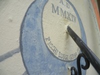 /album/galleria-fotografica/picchi-jpg/