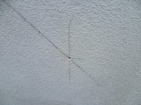 /album/galleria-fotografica/punt-jpg/